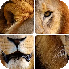 Взлом Угадай животных по