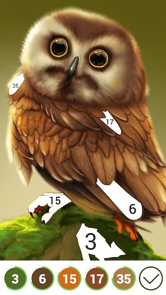 Hola Color--Coloring by Number (ола калор)  [МОД Все открыто] Screenshot 3