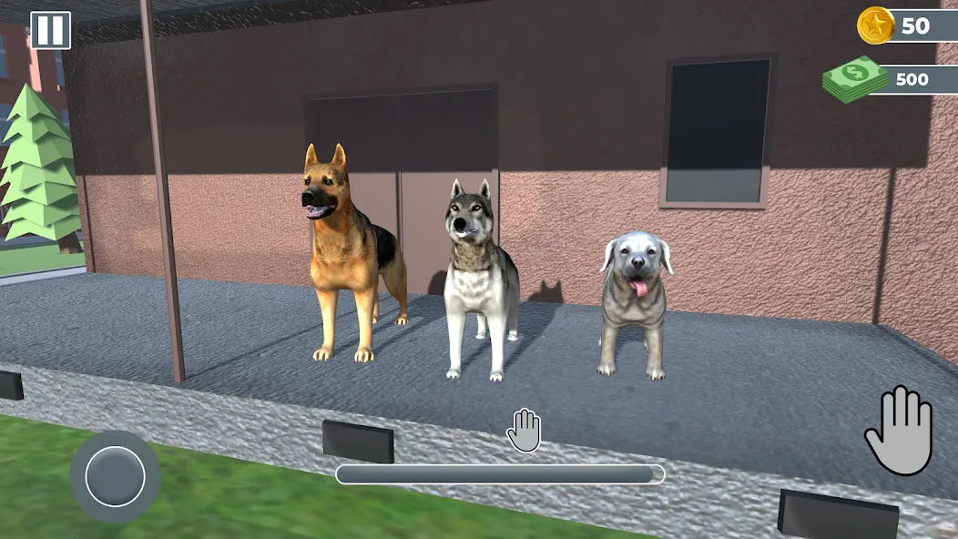 Animal Shelter: Pet Rescue 3D  [МОД Unlimited Money] Screenshot 3