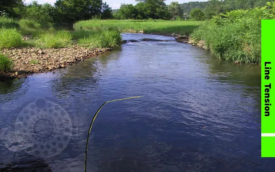 Fly Fishing Simulator (Флай Фишинг Симулятор)  [МОД Все открыто] Screenshot 4