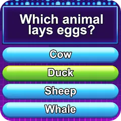 Скачать взломанную Trivia Crush (Тривия Краш)  [МОД Бесконечные монеты] - последняя версия apk на Андроид